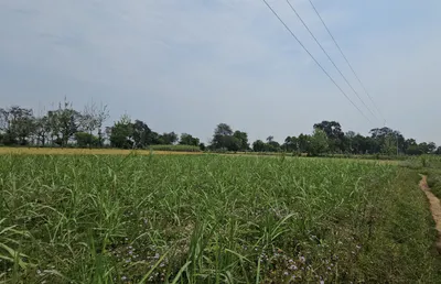 5X7G+Q4Q, Fazilka, Bakainwala, Punjab 152128, India preview 2