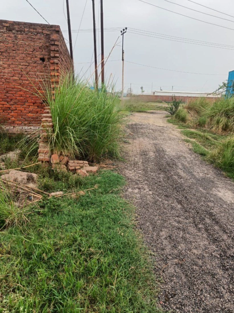Adampur, Uttar Pradesh, India