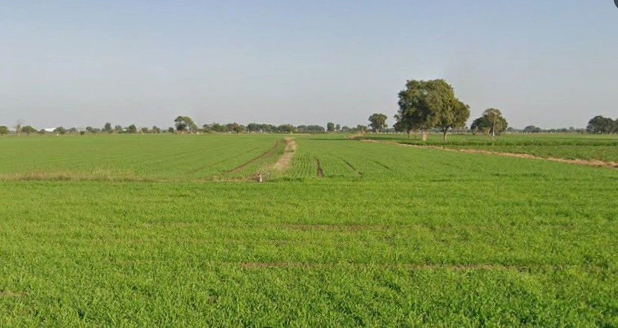 Gopalpura, Madhya Pradesh 475673, India