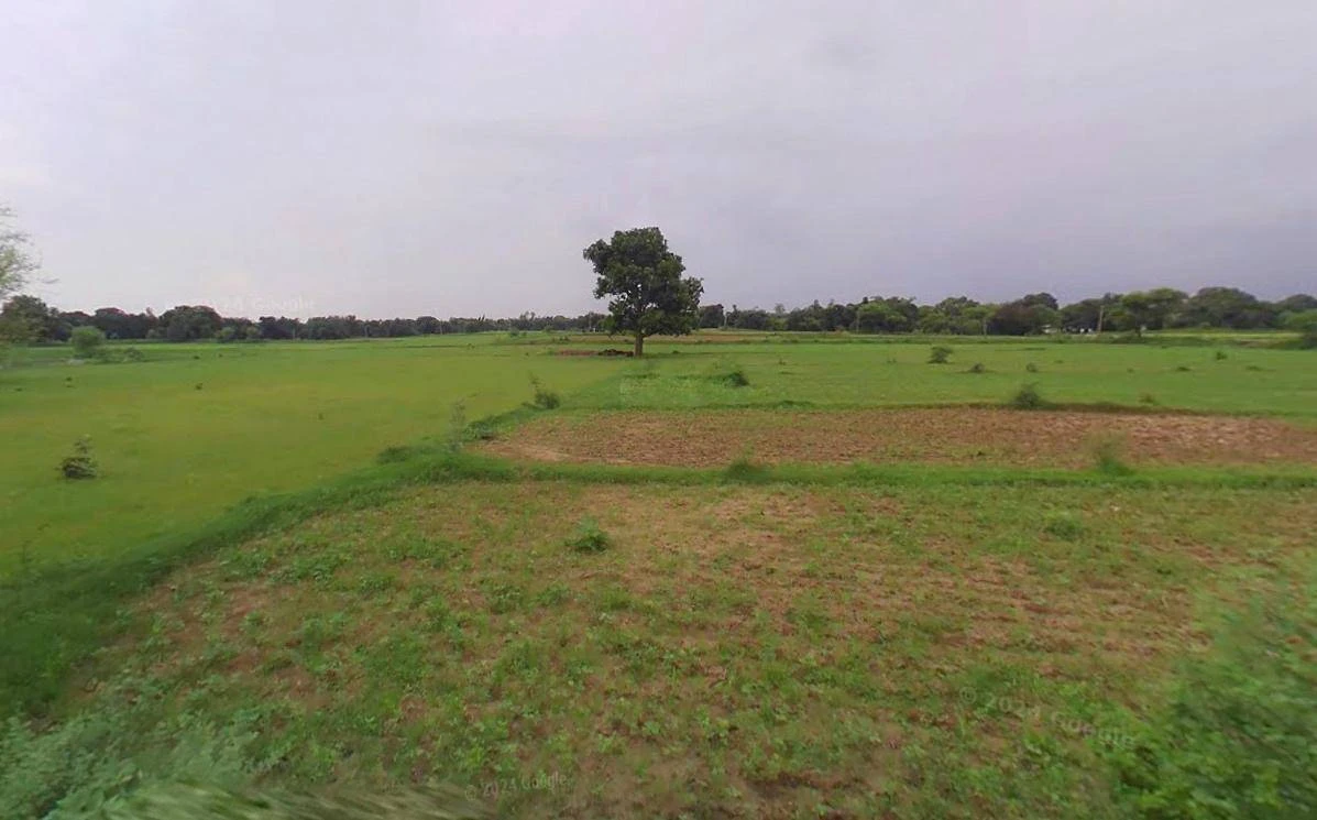 Rohtak, Haryana, India