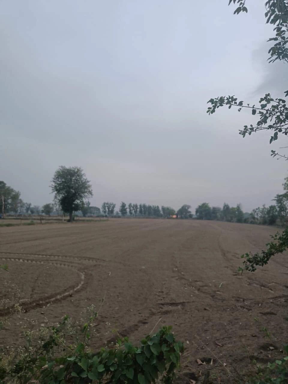 Barhana, Uttar Pradesh, India