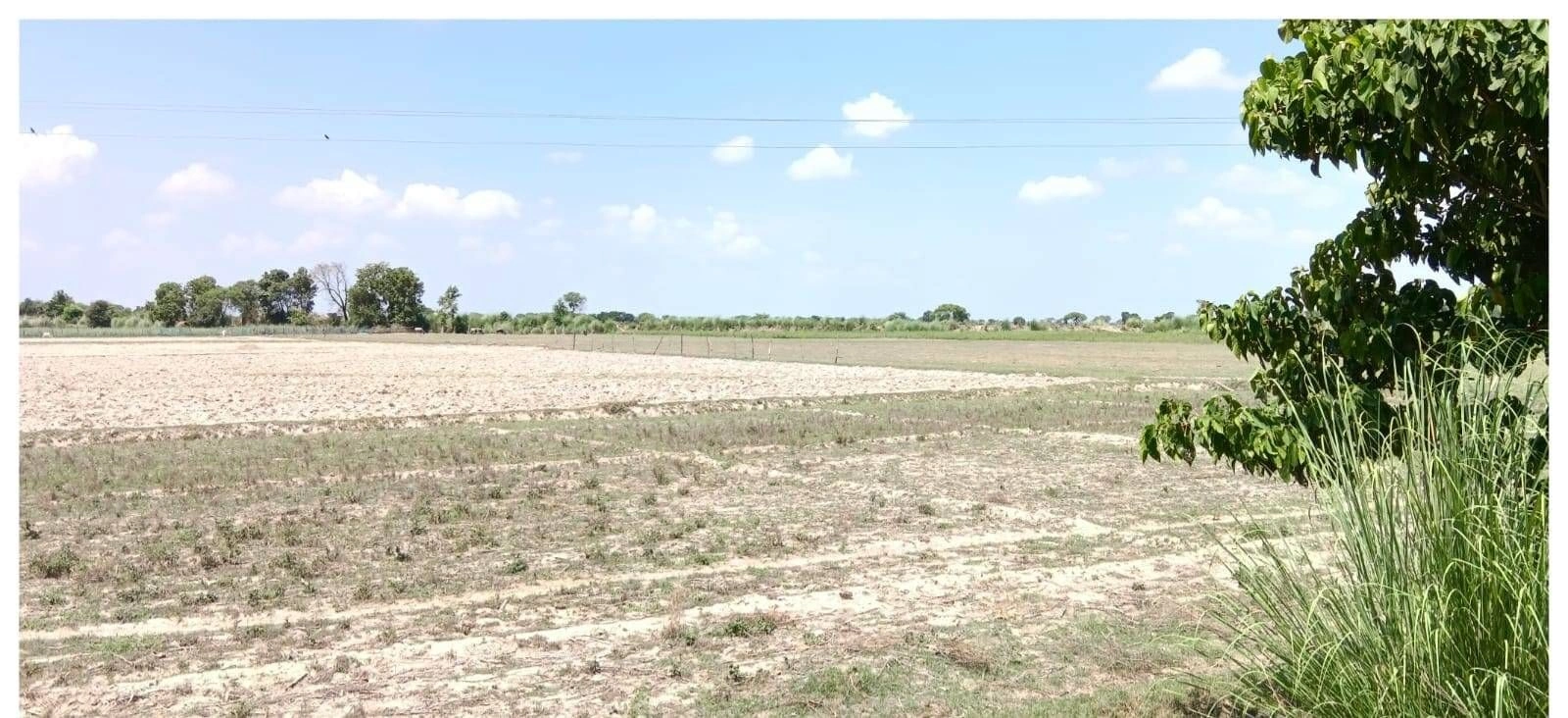 P52H+R6 Birauli, Uttar Pradesh, India