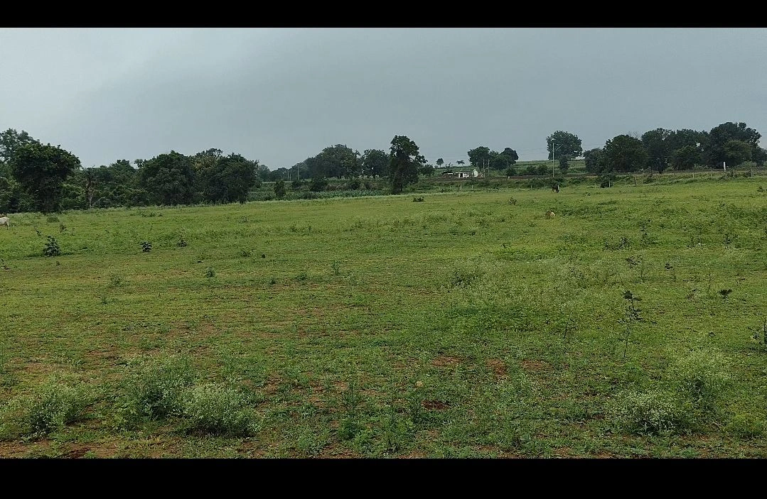 Pipariya, Narmadapuram, Madhya Pradesh 461775, India preview 3