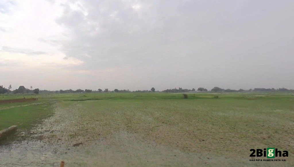 G9G2+VV5, Manbhauna, Uttar Pradesh 209861, India