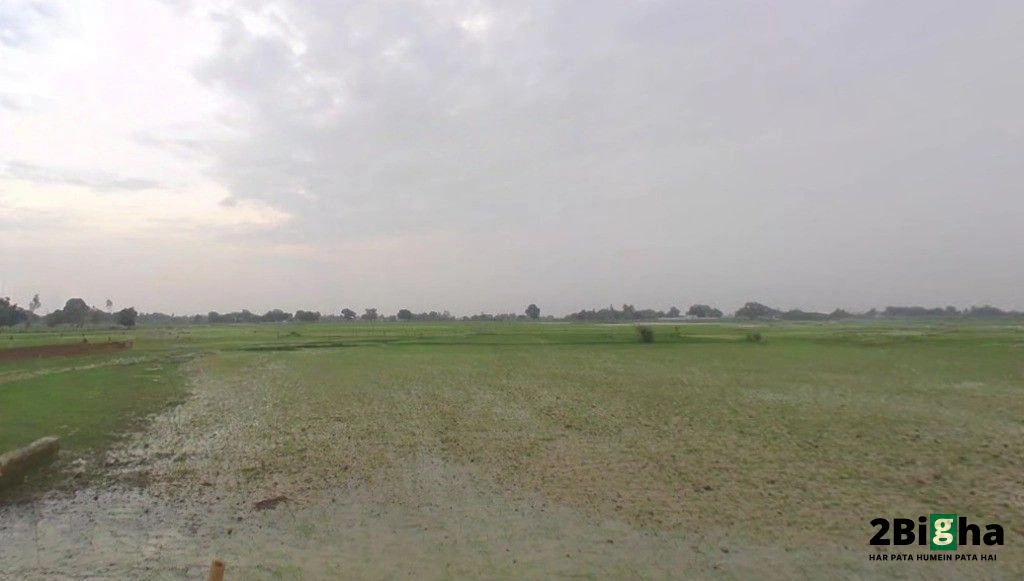 G9G2+VV5, Manbhauna, Uttar Pradesh 209861, India
