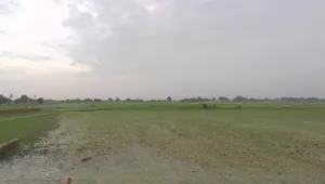 G9G2+VV5, Manbhauna, Uttar Pradesh 209861, India preview 2