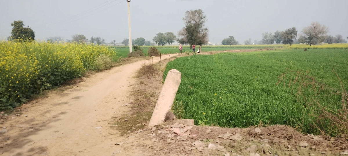 Seetal, Rajasthan 301021, India