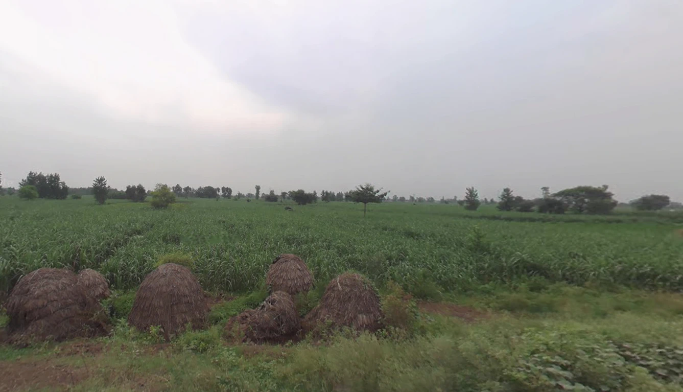 Thakurdwara, Uttar Pradesh 244601, India