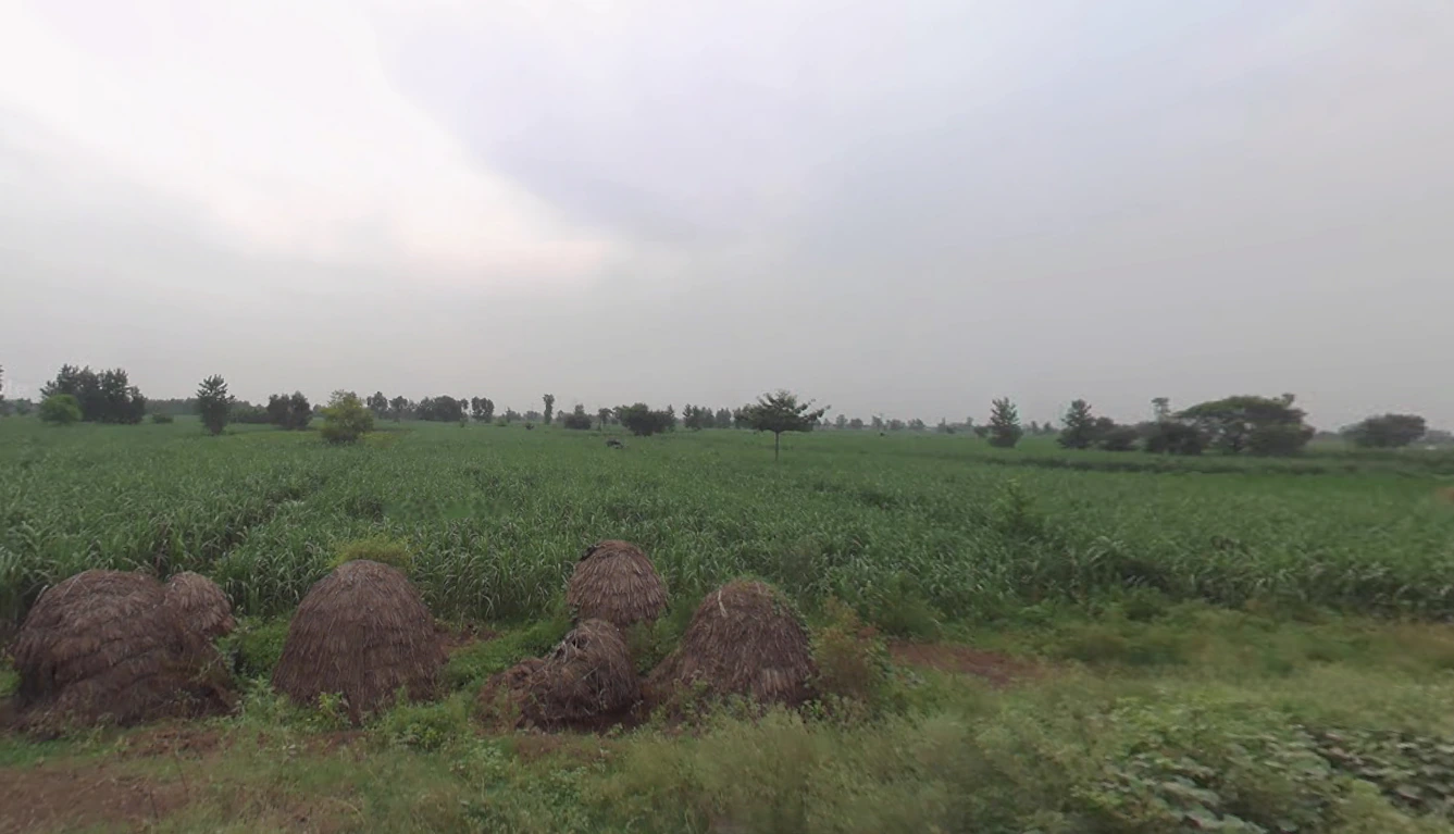 Thakurdwara, Uttar Pradesh 244601, India