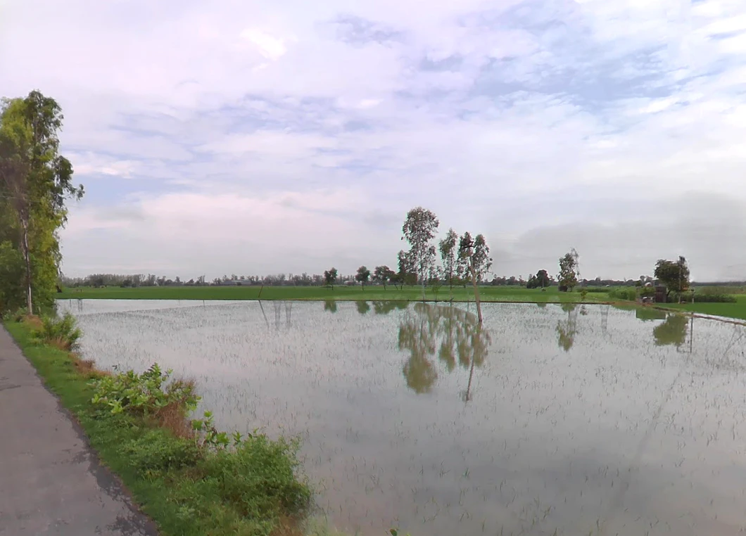 Hansu Majra, Haryana, India