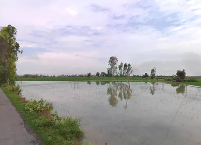 Hansu Majra, Haryana, India preview 3