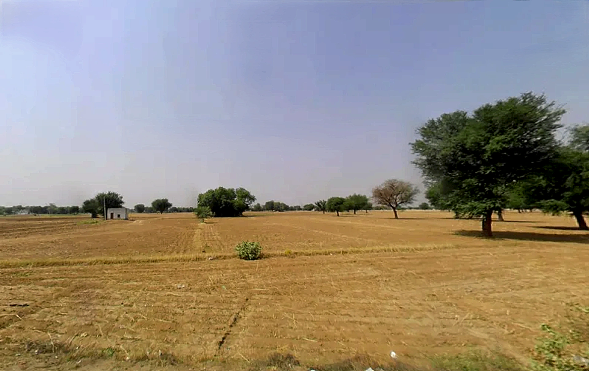 Jaisinghpur Khera, Haryana 123501, India