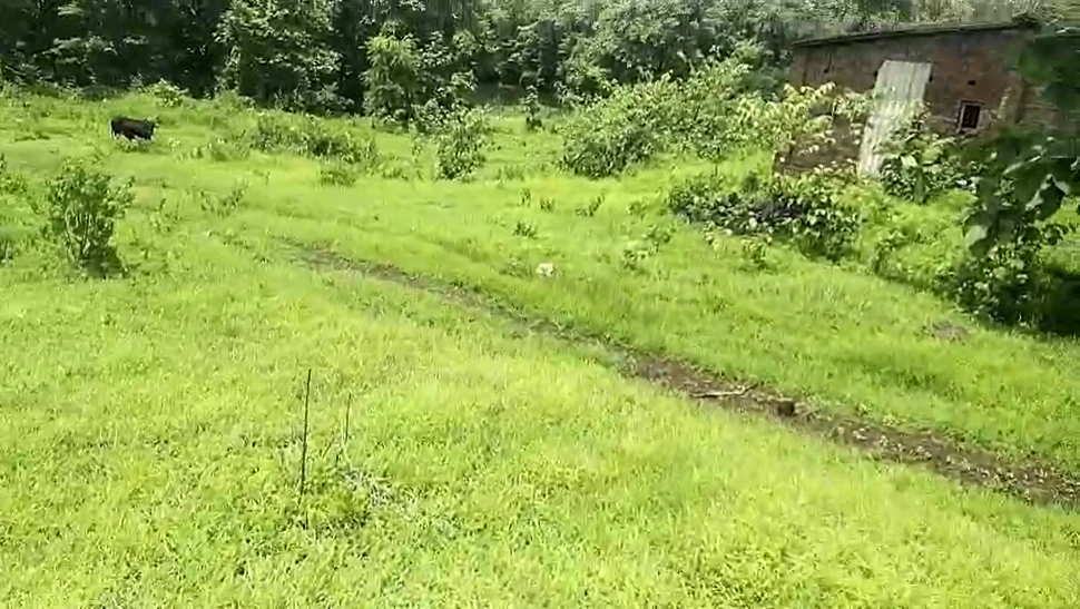 J5RW+XJ4, Palghar, Pimproli, Maharashtra 421303, India