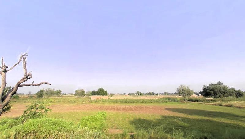 Bhattu Mandi, Haryana 125053, India preview 2