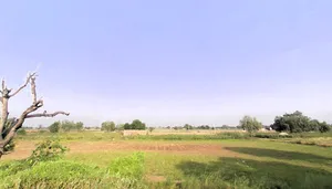Bhattu Mandi, Haryana 125053, India preview 2