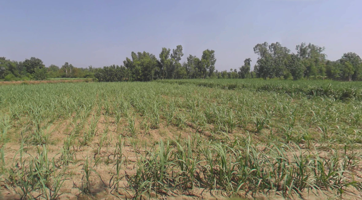 Kanth, Uttar Pradesh 244501, India