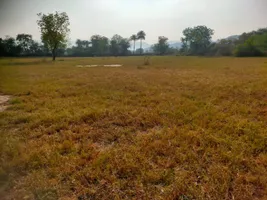 8WP8+5J Wailwari, Rajasthan, India preview 2