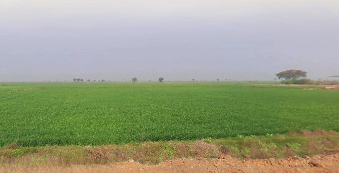 Ramnagar, Uttarakhand 244715, India