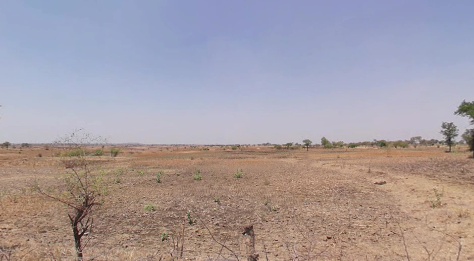 CW25+66H, Bhogipura, Madhya Pradesh 473222, India