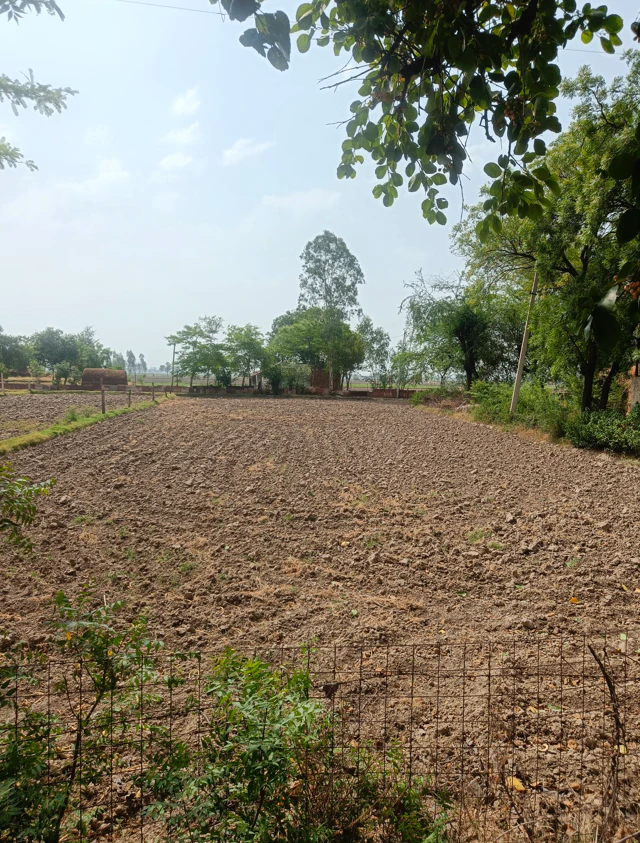New Chandigarh, Punjab 140901, India