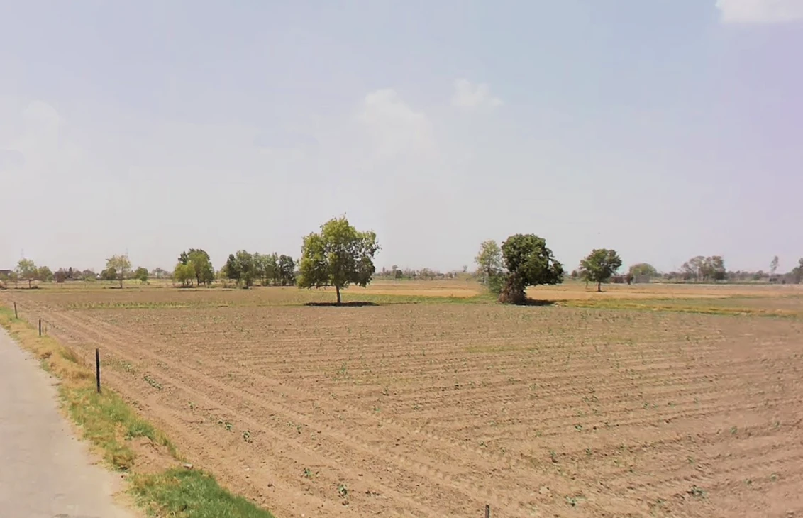 Hansi, Haryana 125033, India