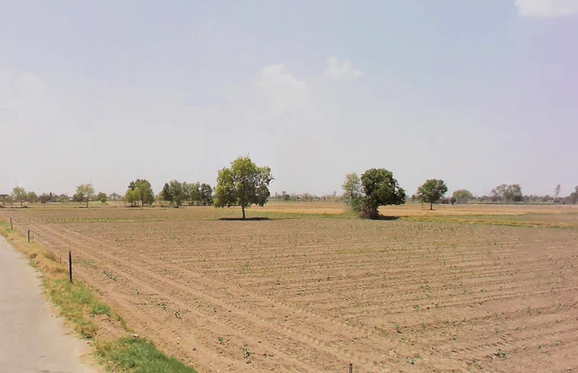 Hansi, Haryana 125033, India