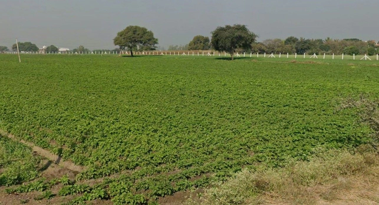 Songir, Madhya Pradesh, India
