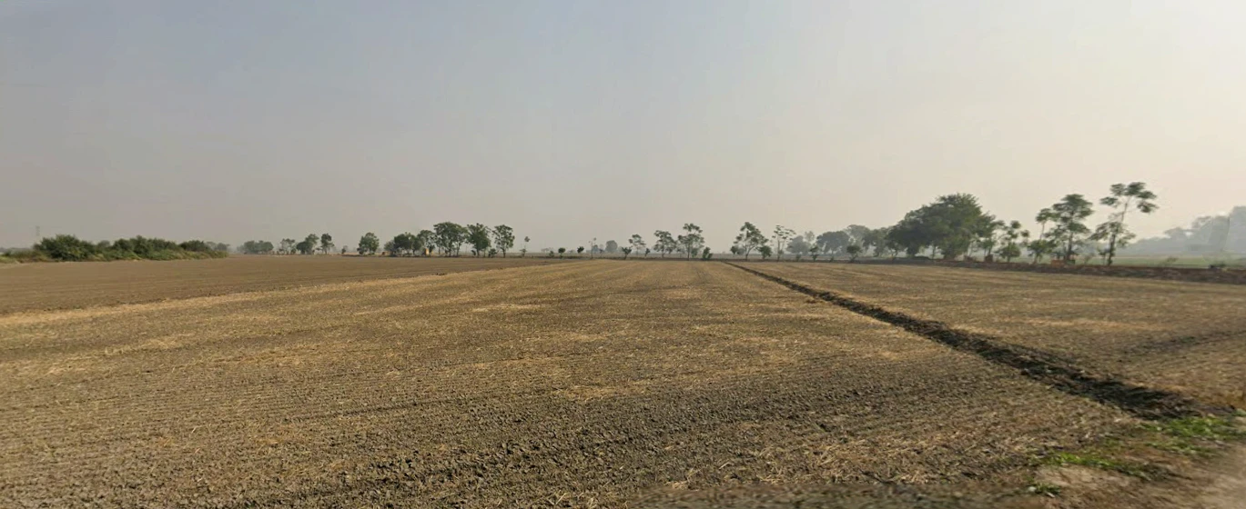 Mehna, Punjab 142011, India