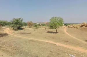 4R4G+6PH, Khora Shyamdas, Rajasthan, India preview 3