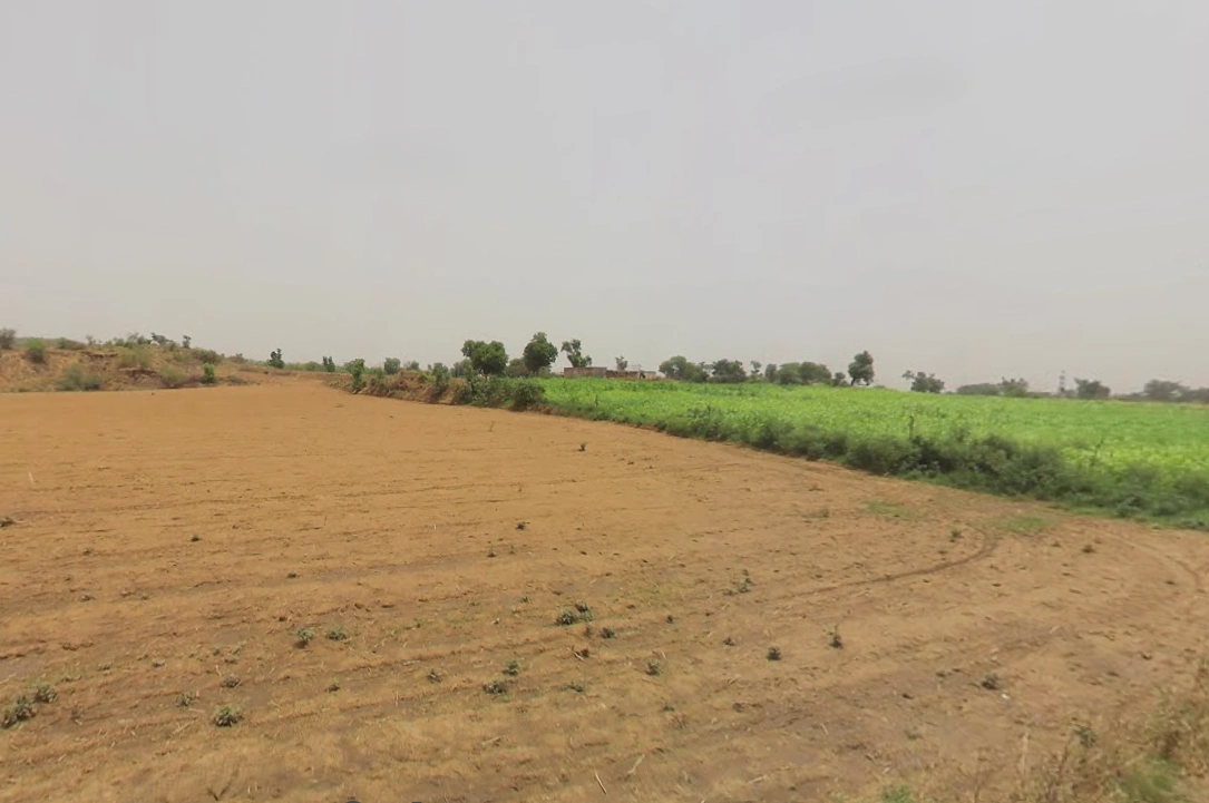 Chuliana, Haryana 124501, India