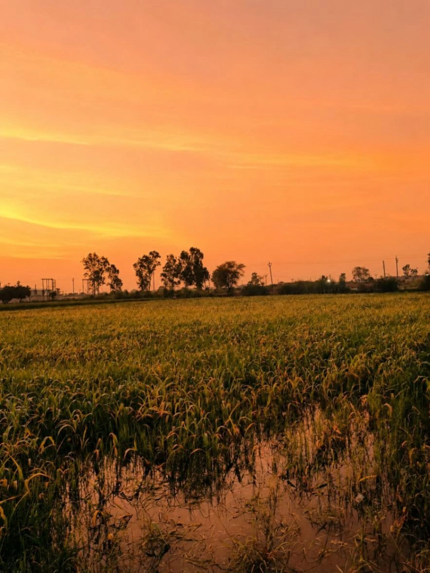 Bukharari, Mathura, Uttar Pradesh, India preview 2