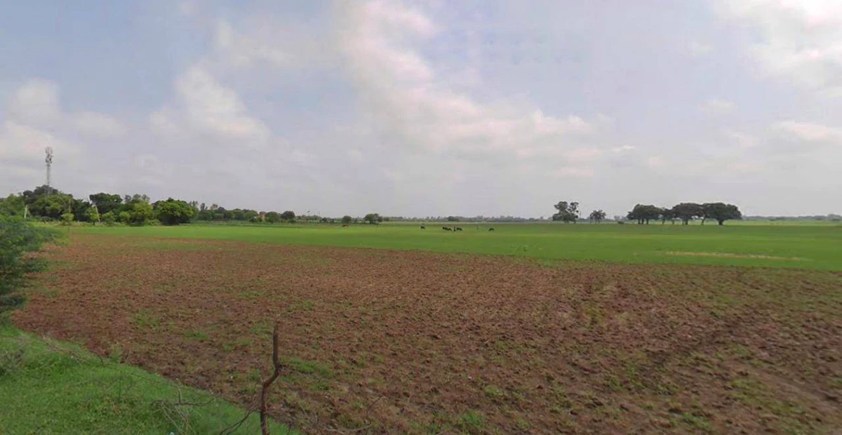 Laksar, Uttarakhand 247663, India