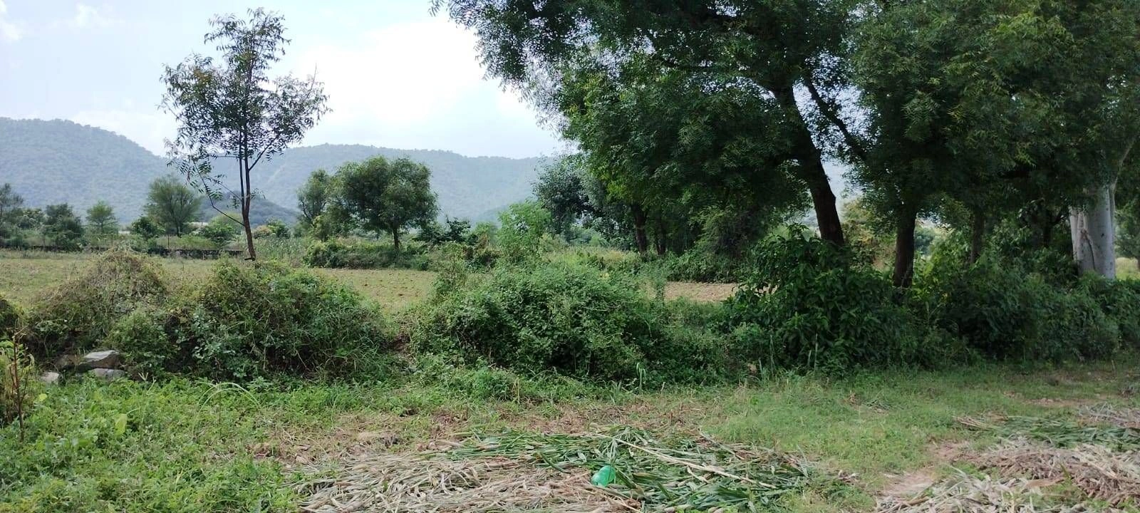 Raiseena, Haryana 122102, India