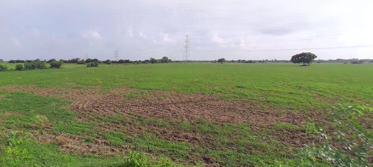 Barnagar, Madhya Pradesh 456771, India