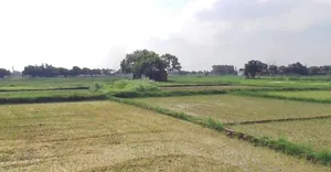 Borda, Madhya Pradesh, India preview 3