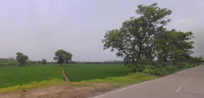 Dhanaura, Uttar Pradesh 244231, India preview 3