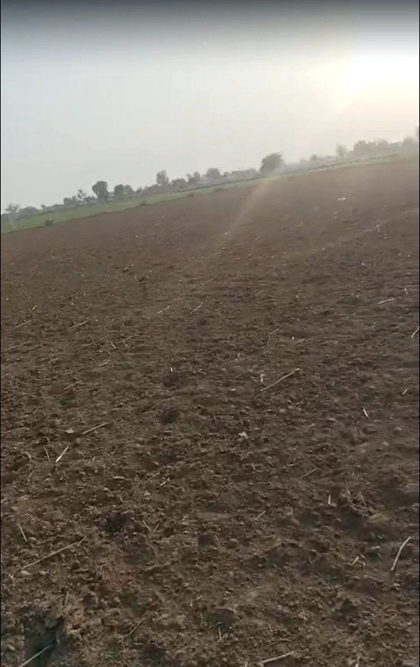 Behat, Uttar Pradesh 247121, India