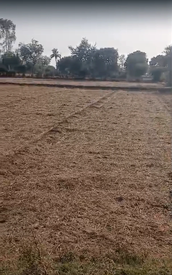 JP6R+3X Deva Talpad, Anand, Gujarat, India - Photo 3