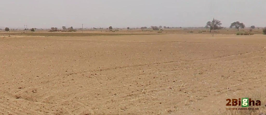 Barodameo, Rajasthan 301021, India