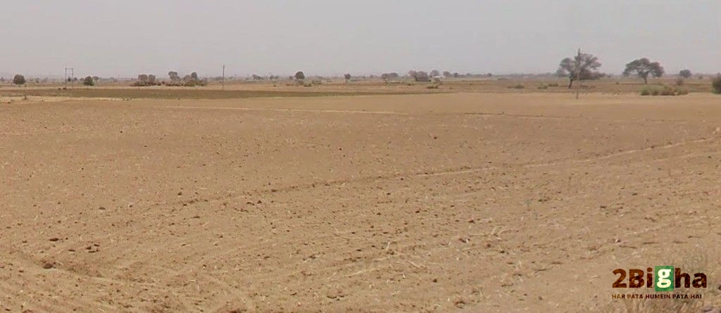Barodameo, Rajasthan 301021, India