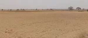 Barodameo, Rajasthan 301021, India preview 2