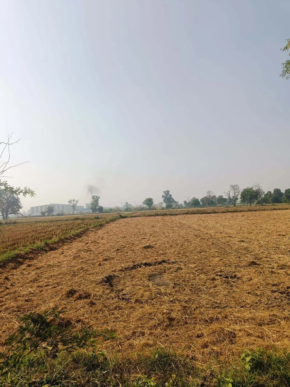 Barhana, Mathura, Uttar Pradesh, India