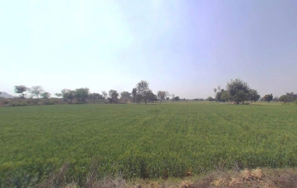 Bahadurpur, Rajasthan 301409, India preview 2