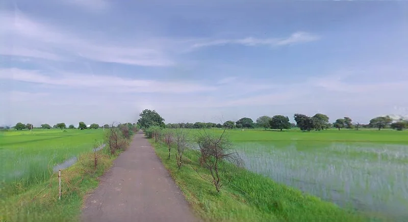 Jewar, Uttar Pradesh 203135, India preview 2