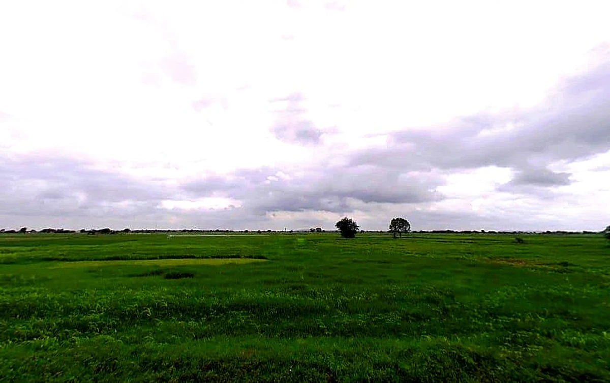 Piproli, Rajasthan, India