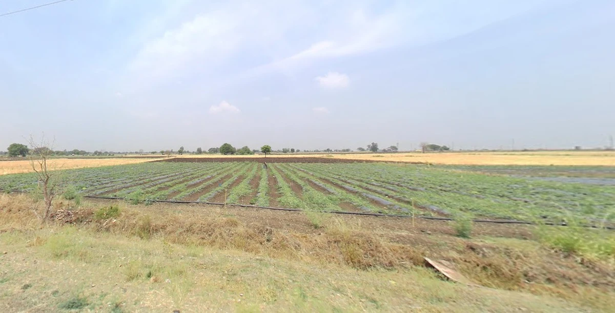 Banjali, Madhya Pradesh 457001, India