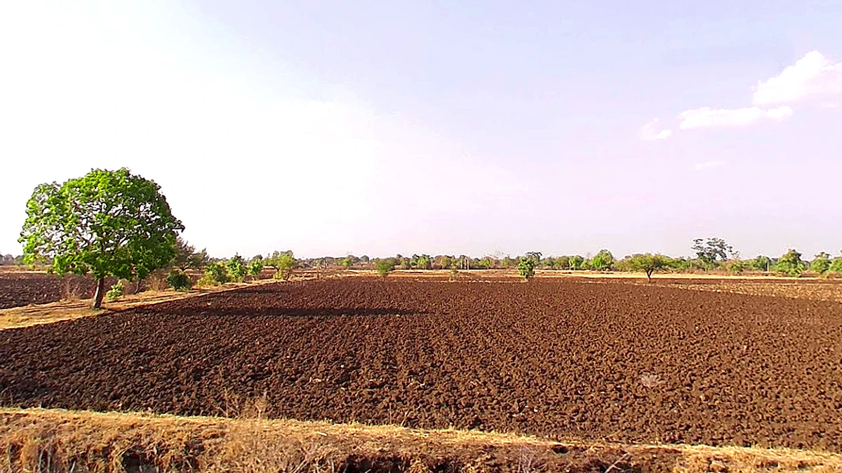 Rehti, Madhya Pradesh 466446, India