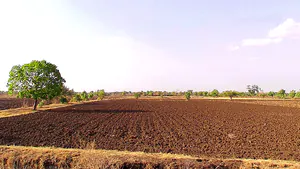 Rehti, Madhya Pradesh 466446, India preview 2
