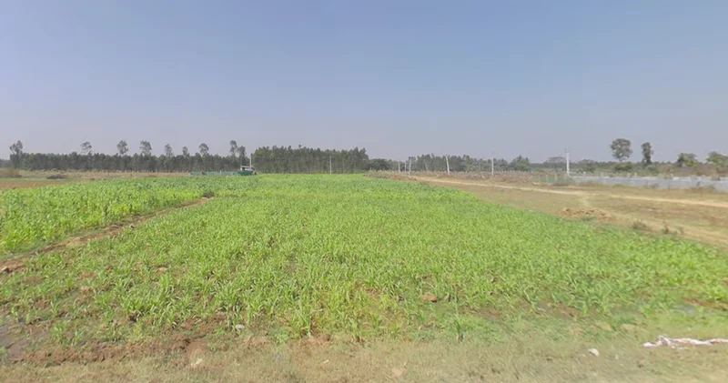 Krishnarajanagara, Karnataka 571602, India preview 3