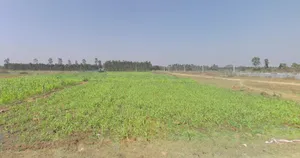 Krishnarajanagara, Karnataka 571602, India preview 3